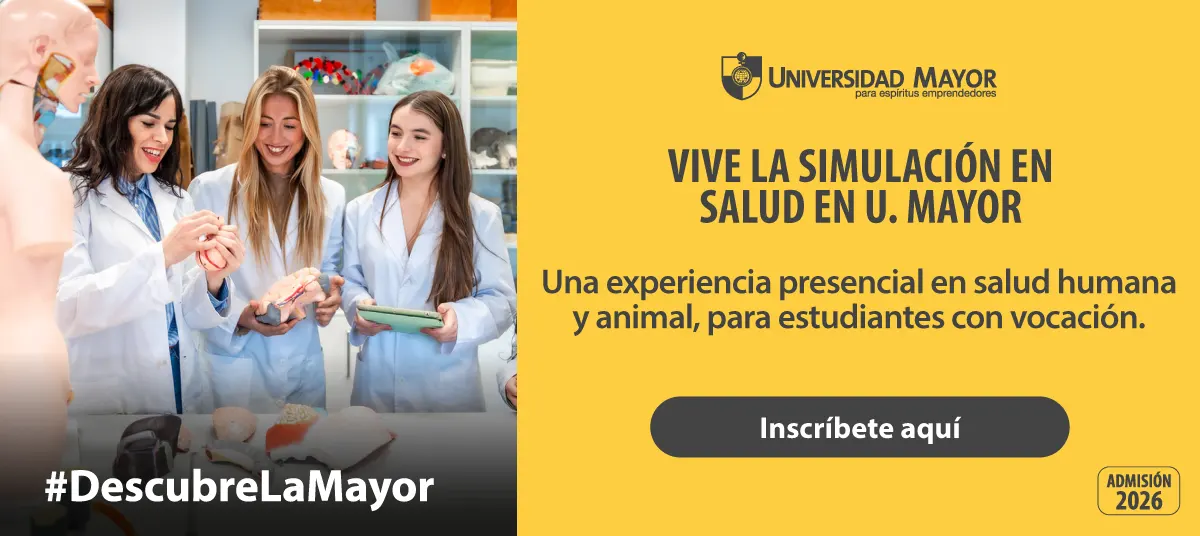 cabecera simulacion salud